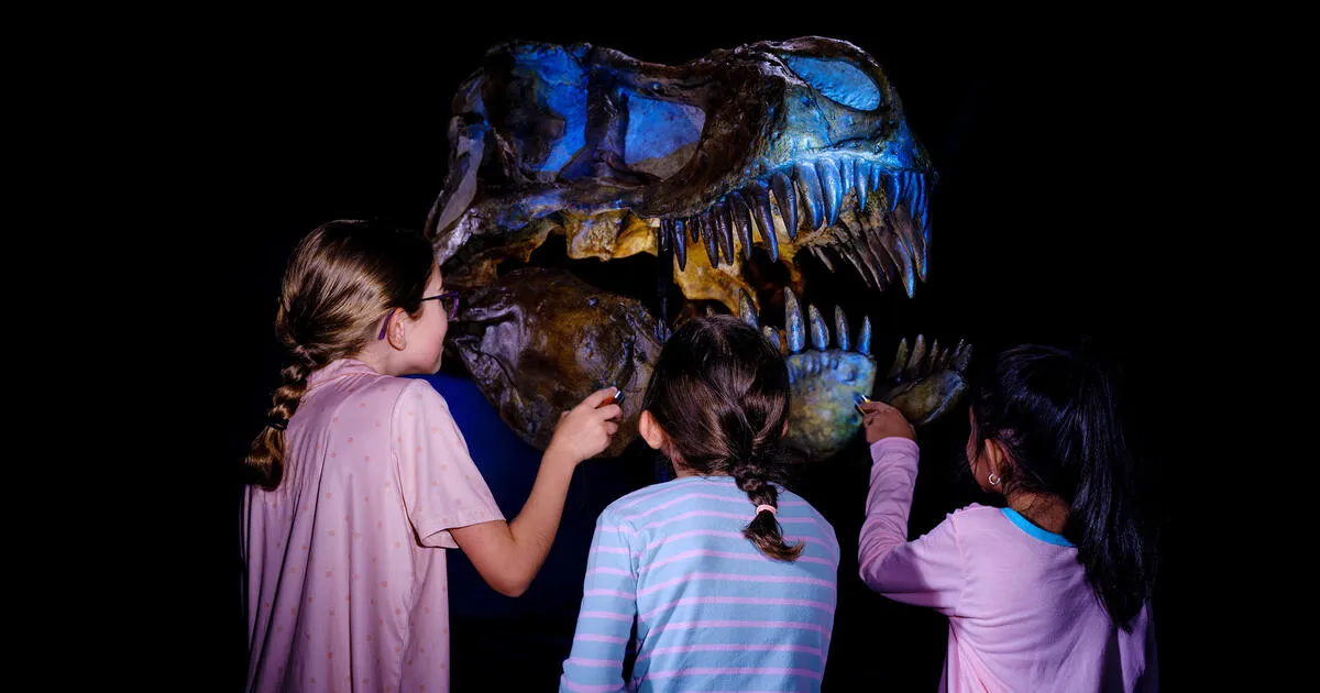 A Night at the Museum: The Overnight Experience October 23